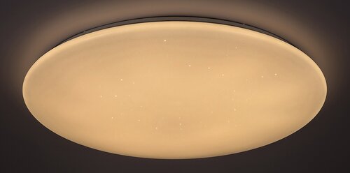 Stropní LED svítidlo Danny Rabalux 5446