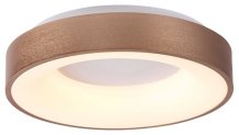 Stropní LED svítidlo Carmella Rabalux 5053